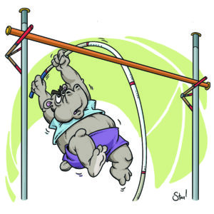 A hippo-man in the middle of a pole vault attempt. His pole bends and strains as he tries to clear a very high bar.